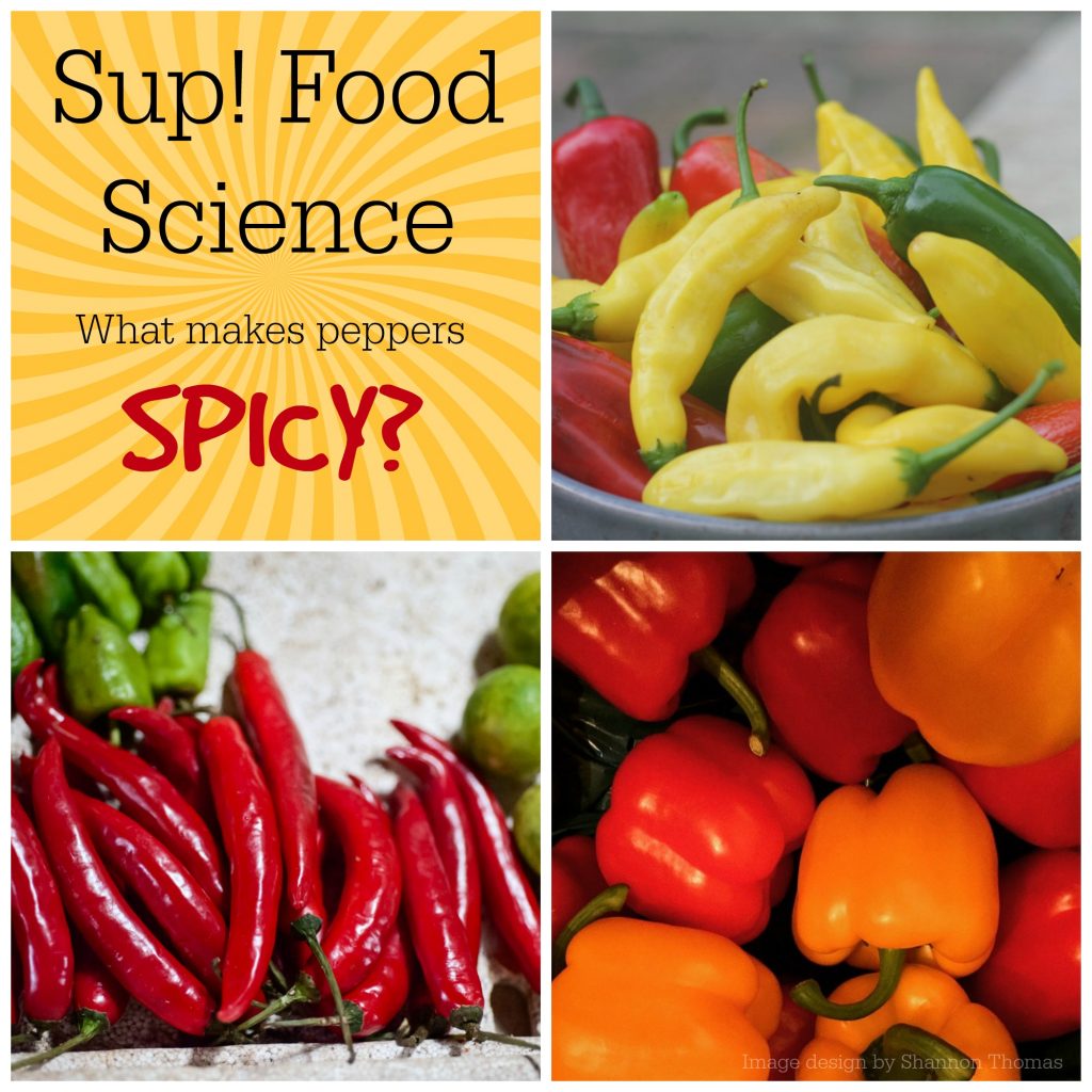 what makes peppers spicy